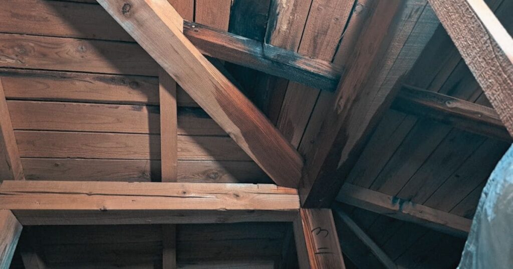 その足音は本当にネズミ？動物ごとの音の特徴を比較