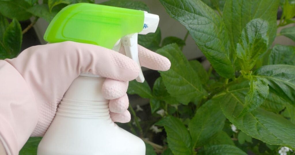 ネズミを撃退する！わさびスプレーの作り方と使い方