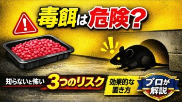 ネズミ駆除の毒餌は危険？効果的な置き方や3つのリスクをプロが解説