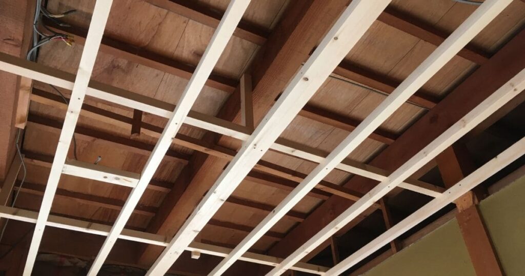 自分で駆除できる？1階と2階の間のネズミ対策