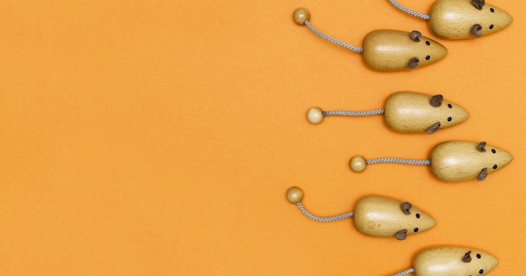 コーヒーかすより強力！ネズミの嫌いな匂いを活用した対策3選