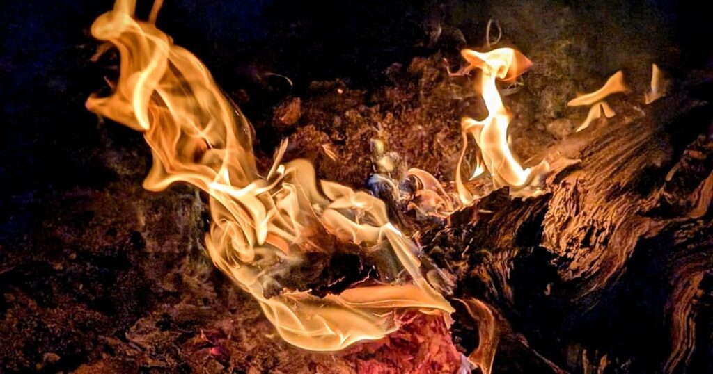 物置のネズミを放置する3つのリスク