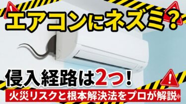 エアコンにネズミ?侵入経路は2つ!根本解決する方法をプロが解説