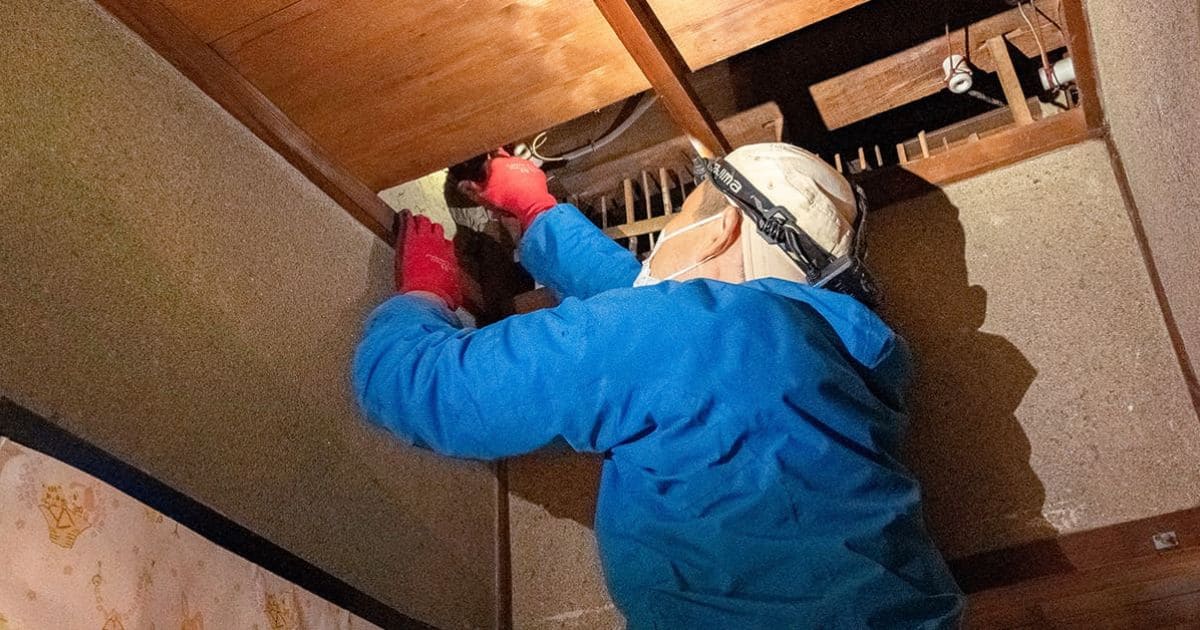 ネズミ被害を根本的に解決する方法は侵入経路の封鎖のみ