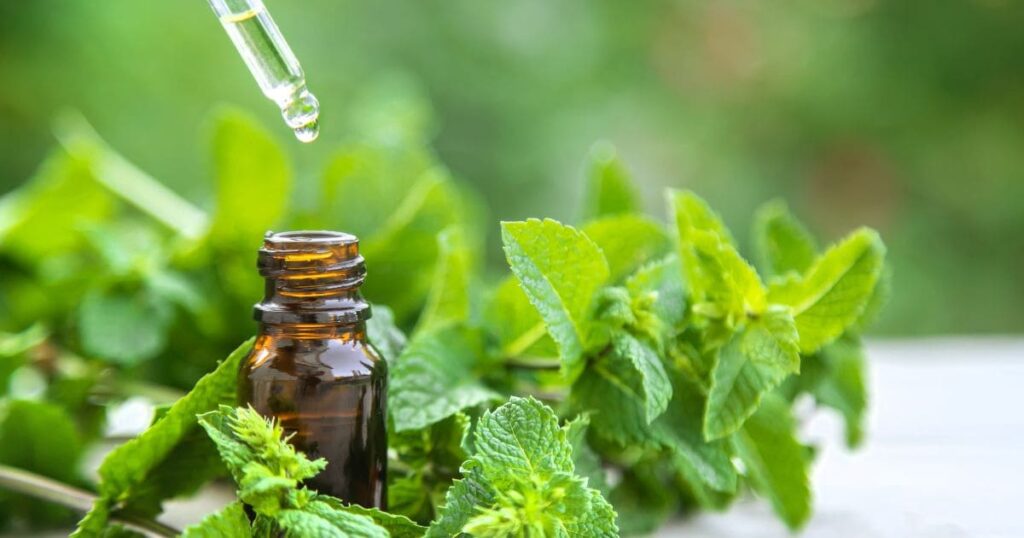 【ファブリーズ以外】ネズミが嫌う匂い