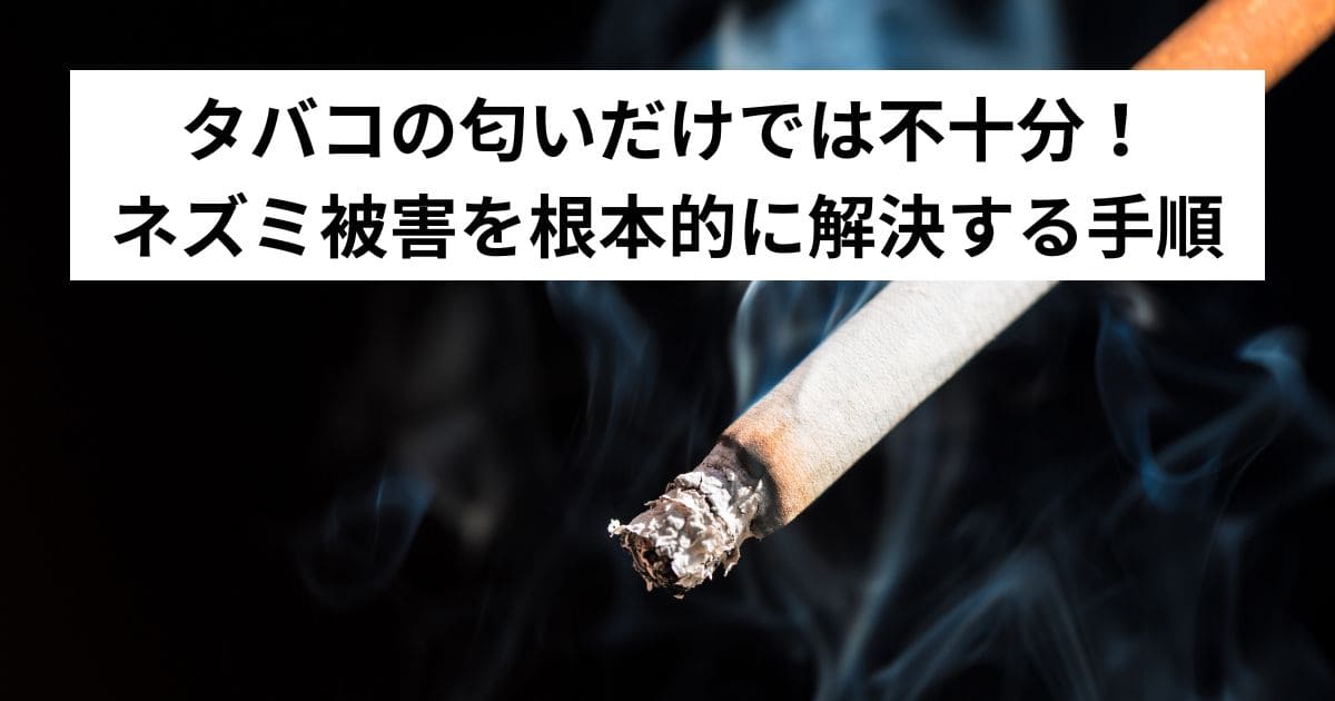 タバコの匂いだけでは不十分！ネズミ被害を根本的に解決する手順