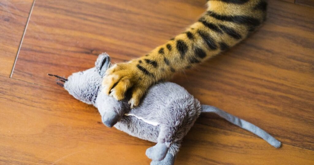 ネズミ被害を根本的に解決する方法