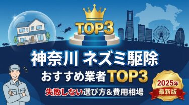 【2025年】神奈川のネズミ駆除おすすめ業者ランキングTOP3！失敗しない選び方と費用相場