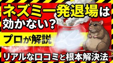ネズミ一発退場は効かない?リアルな口コミ評判と根本解決する方法をプロが解説!