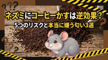 ネズミ対策にコーヒーかすは逆効果？5つのリスクと本当に嫌う匂い3選をプロが解説