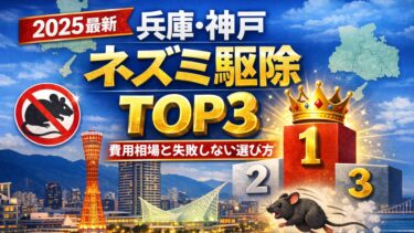 【2025最新】兵庫・神戸のネズミ駆除おすすめランキングTOP3｜費用と選び方も解説