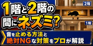 1階と2階の間にネズミ？音を止める方法と絶対NGな対策をプロが解説