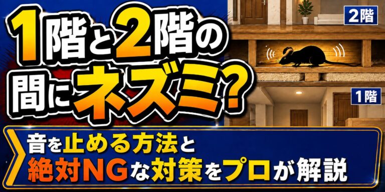 1階と2階の間にネズミ？音を止める方法と絶対NGな対策をプロが解説