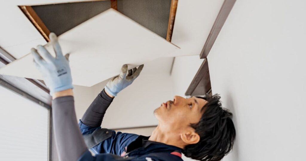 信頼できるネズミ駆除業者の選び方と依頼時の注意点