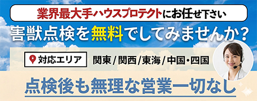 駆除アンサーの無料の害獣点検してみませんか？点検後も無理な営業一切なし