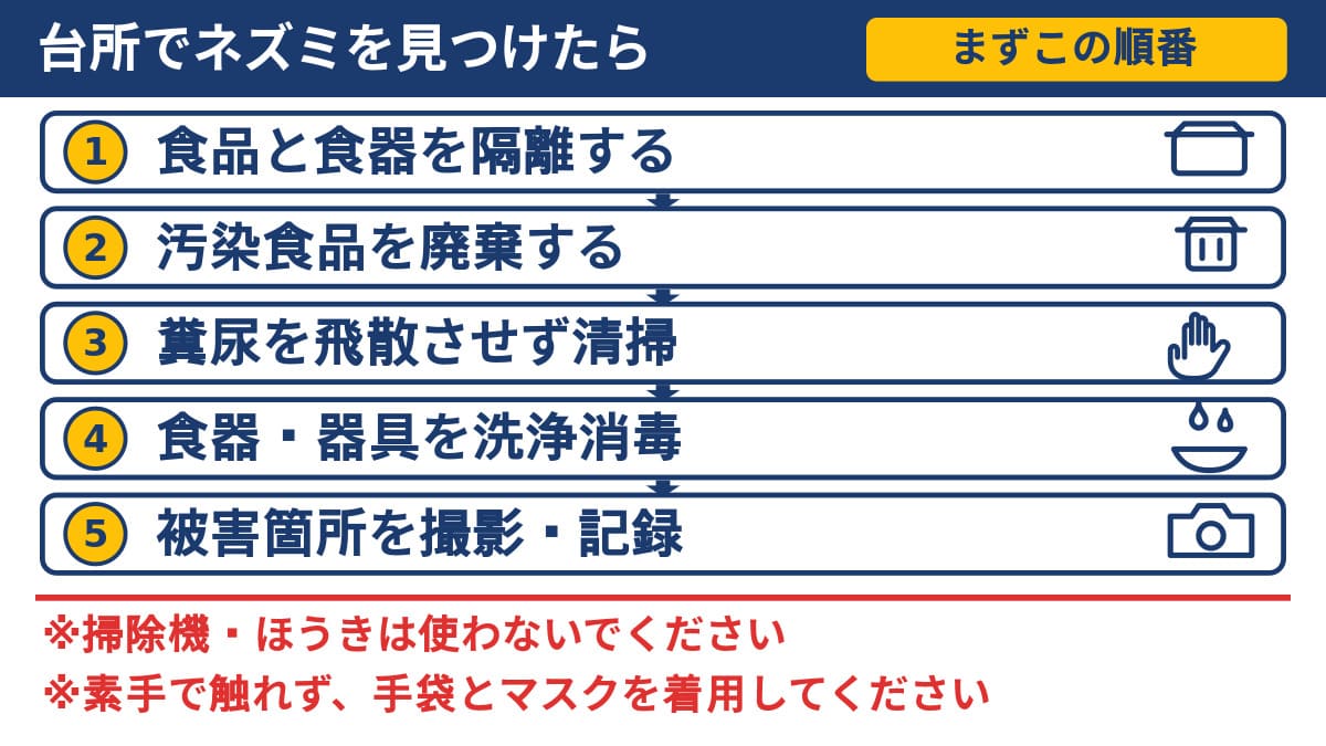 台所でネズミを見つけた後の対処手順