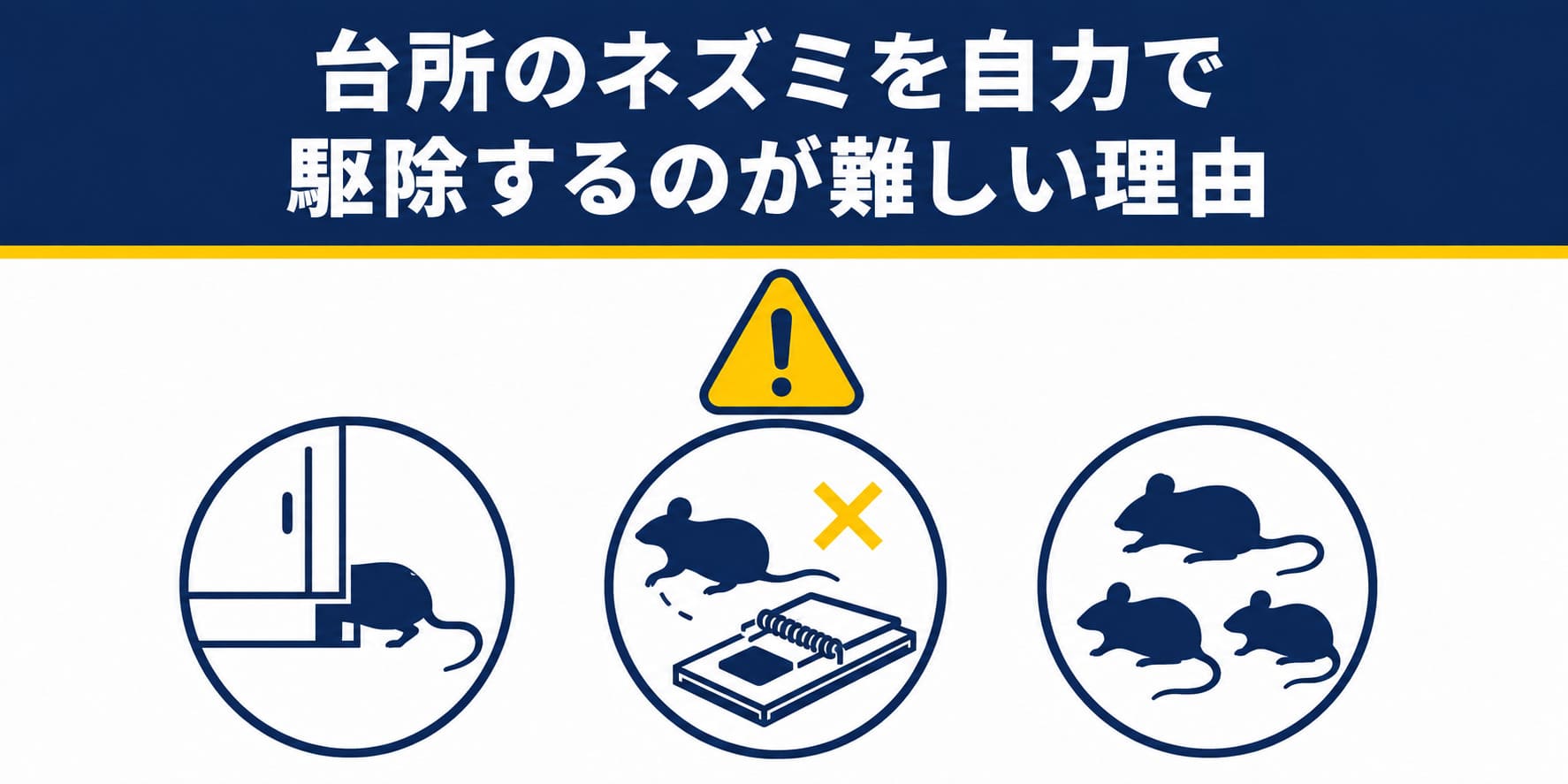 台所のネズミを自力で駆除するのが難しい理由